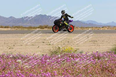 media/Mar-12-2023-SoCal Trackdays (Sun) [[d4c8249724]]/Turn 15 Inside Bloom (130pm)/